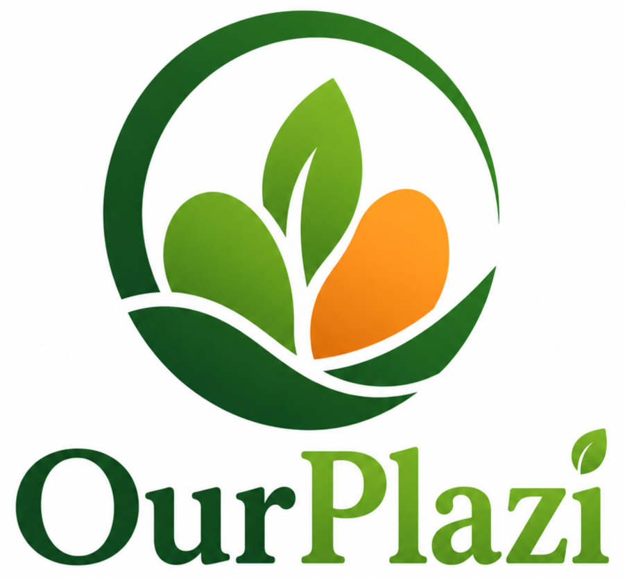 OurPlazi