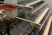Cages for 100 chickens