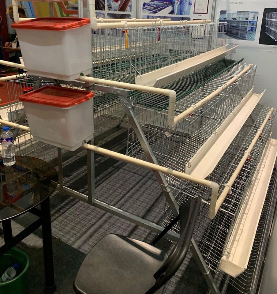 Cages for 100 chickens
