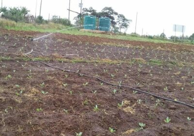 irrigation1
